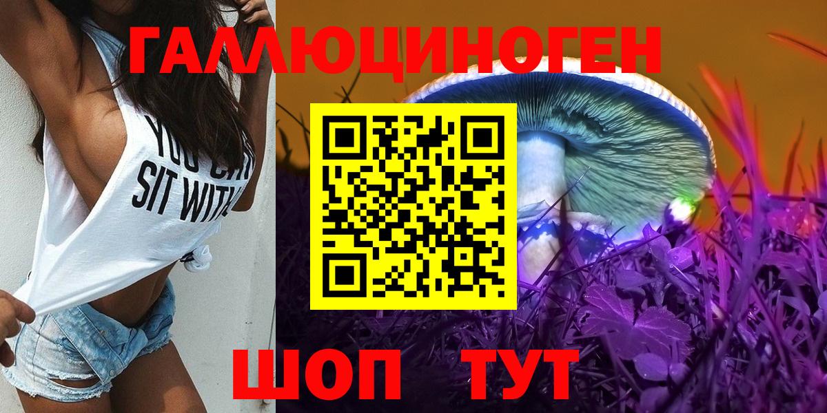 Галлюциногенные грибы мицелий  Вход с VPN  Калининград 