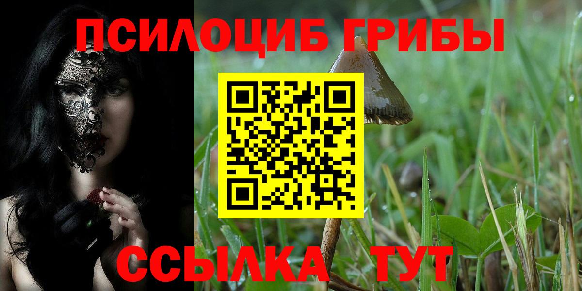 Галлюциногенные грибы мухоморы Калининград